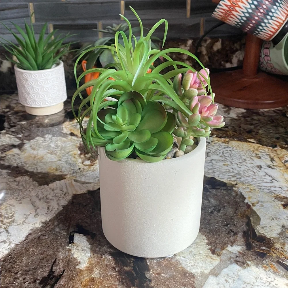 Green and Pink Succulent Arrangement in White Pot
